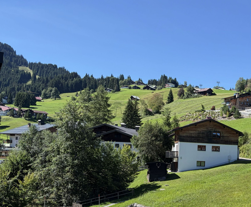 FERIENWOHNUNG in Hirschegg / Kleinwalsertal 