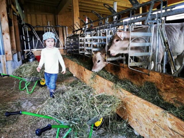 Kind im Stall 