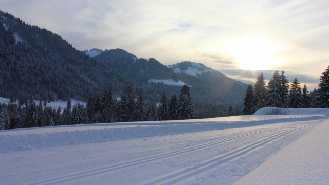 Loipe in Balderschwang 