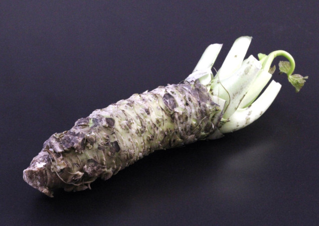 Wasabi – einzigartiges Wurzelgemüse