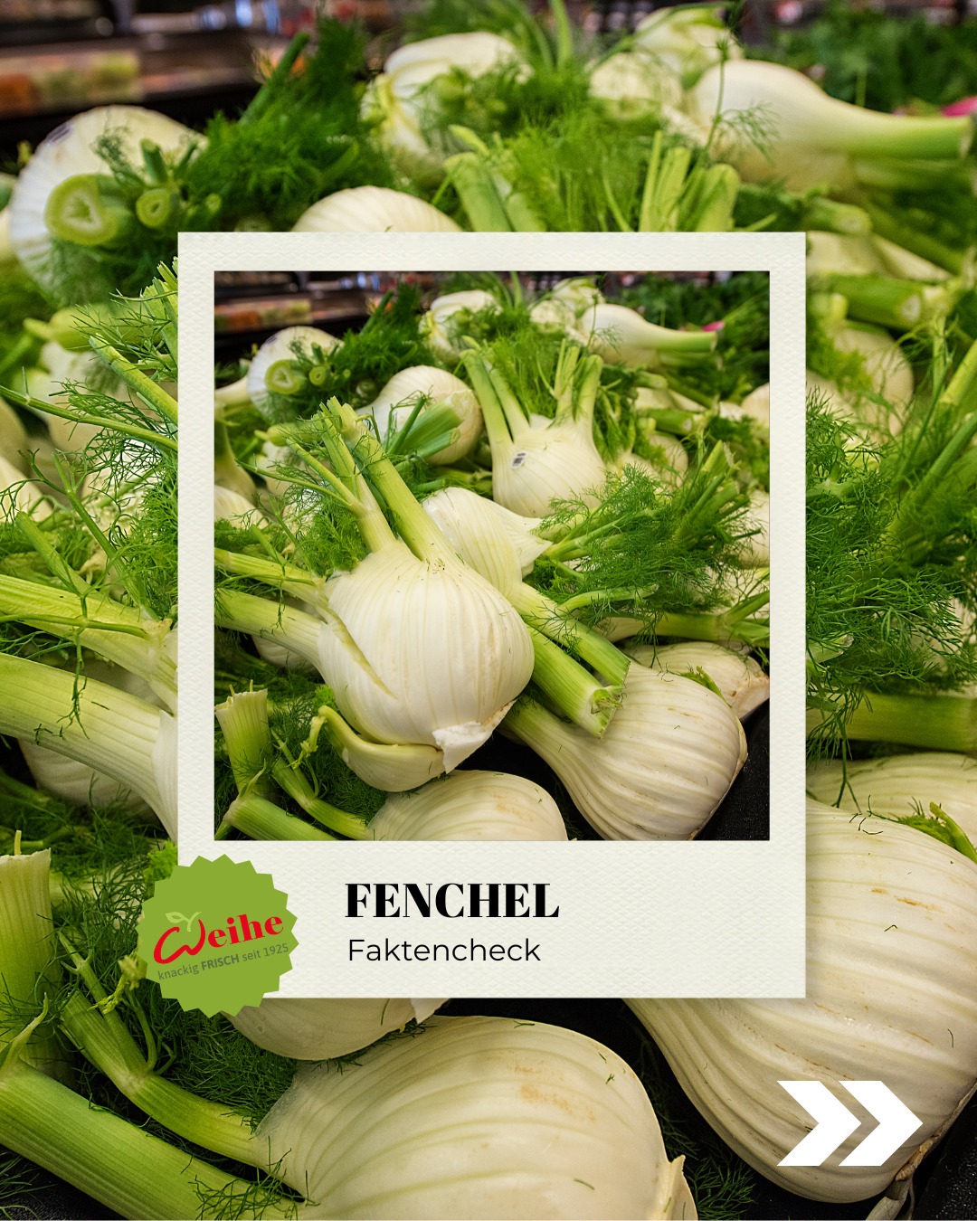 Fenchel ist der Underdog im Gemüseregal und wir finden: zu unrecht. Diese Knolle riecht nach Anis, schmeckt nach Sommer und steckt voller Überraschungen. Der Anis-Kick kommt vom ätherischen Öl Anethol, das sich durch die ganze Knolle zeiht, nicht nur