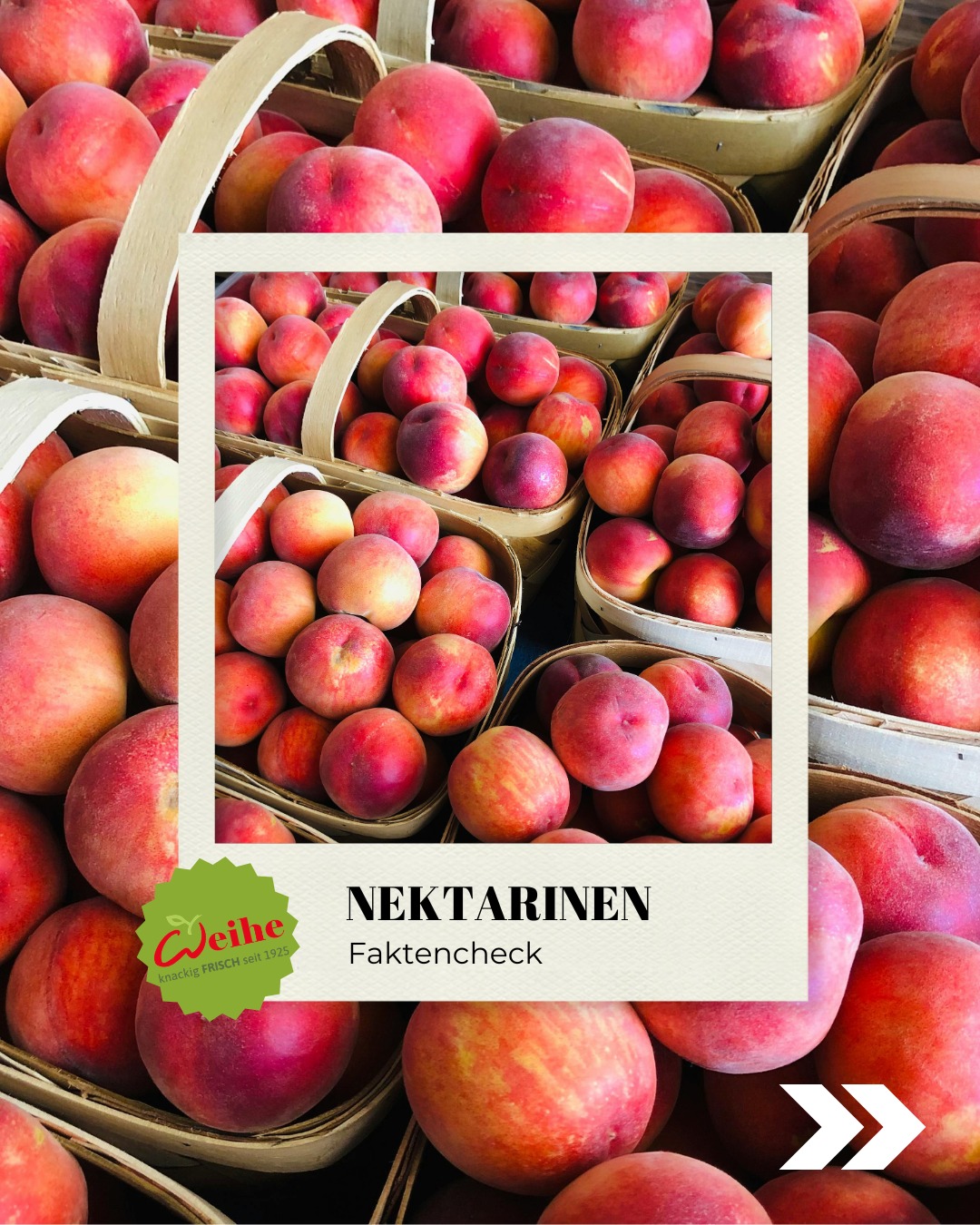 Sommer, Sonne, Nektarinen!? Die perfekte Balance aus süß und erfrischend. Ob pur, im Salat oder gegrillt – die Früchte sind ein Must-have für den Sommer.☀

#summerfruit #nekatrinen #pfirsiche #weiheberlin #warenkunde #foodie
