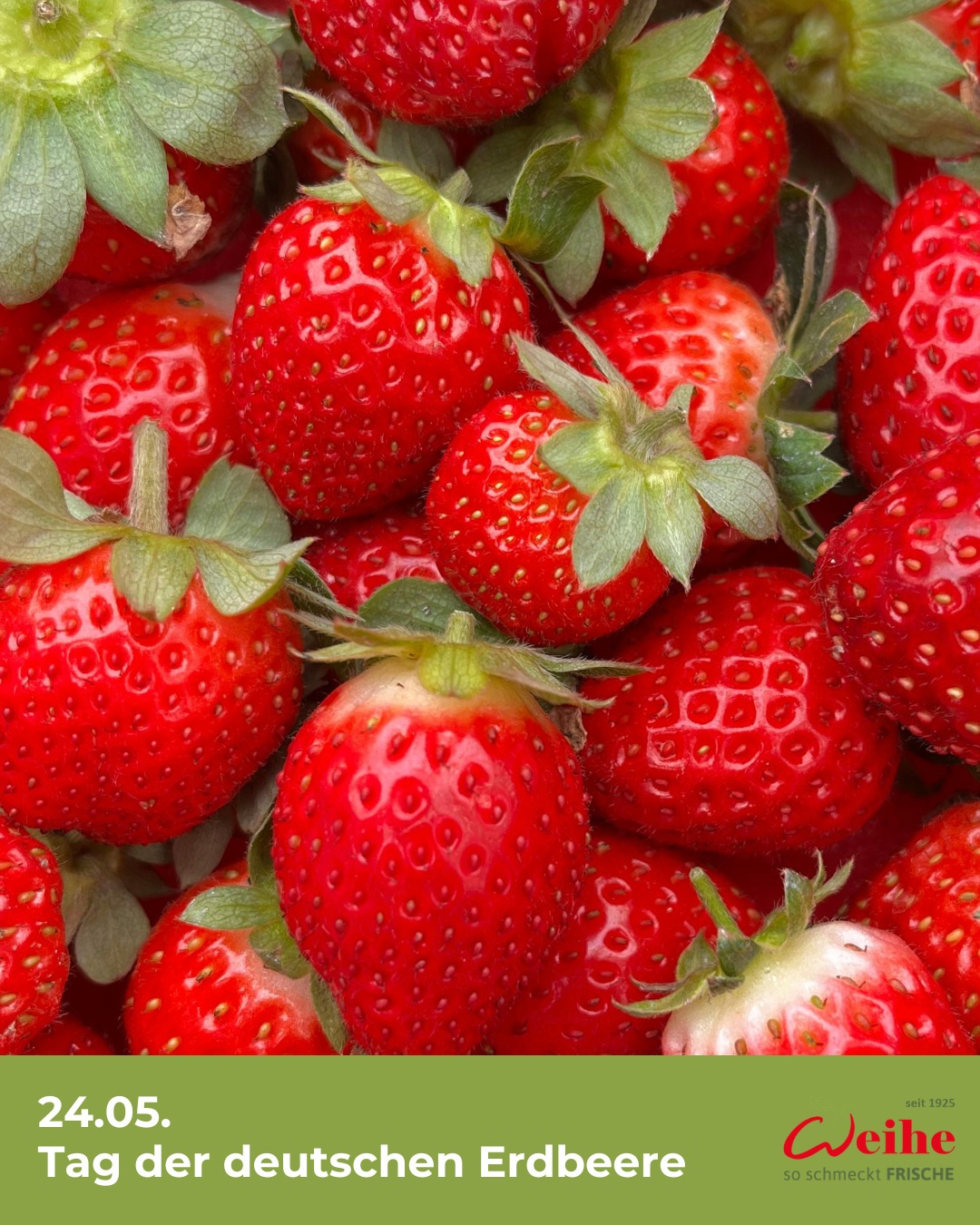 Heute feiern wir die wahre Königin des Gartens! ??

Warum wir die lokalen Beeren so lieben?
?Kurze Wege: Reif geerntet statt unreif transportiert. Das schmeckt man!
?Heimatliebe: Wir unterstützen unsere Landwirte direkt um die Ecke.
?Pure Frische: Mo