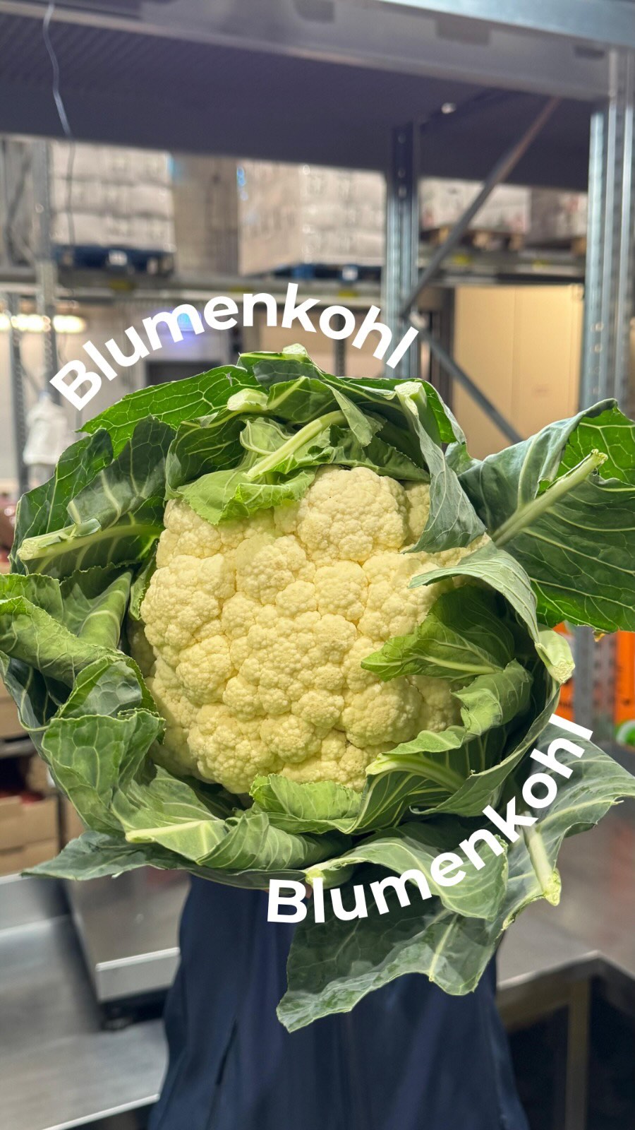 Wie viel Kilogramm wiegt dieser Blumenkohl? Schreib uns deinen Tipp in die Kommentare!? Die Auflösung kommt heute Abend in unserer Story. 

#blumenkohl #rätsel #berlinfood