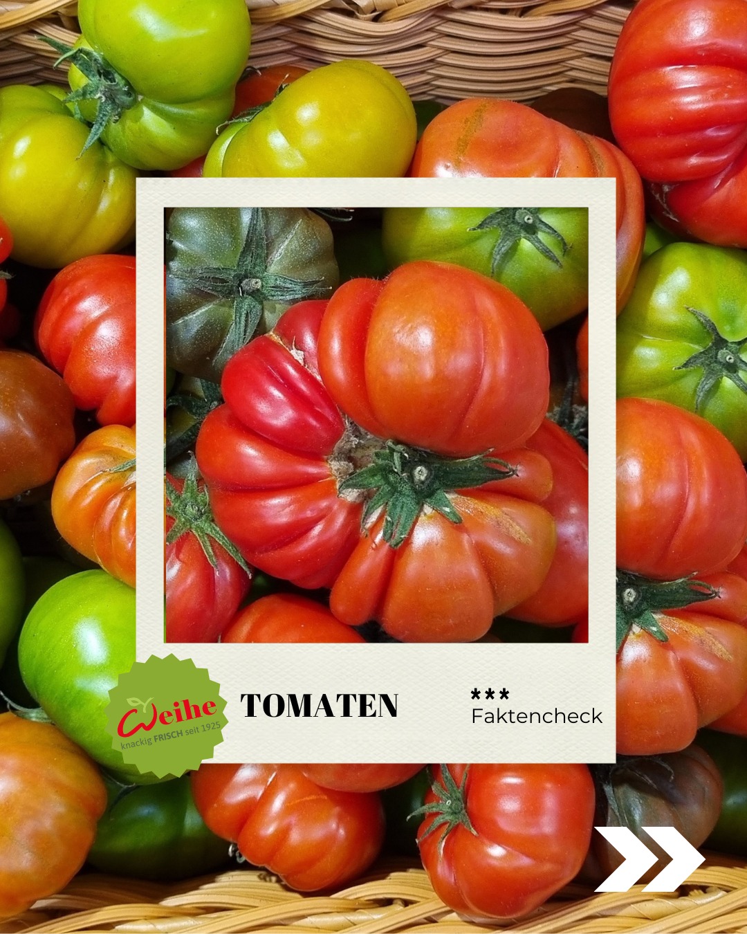 Tomate ist nicht gleich Tomate. Wer in der Profiküche auf Standard setzt, verschenkt Geschmack. ?
In unserem neuen Tomaten-Guide nehmen wir fünf Sorten unter die Lupe, die jeden Teller aufwerten.

Jede Sorte hat ihre Stärken. Die gezielte Auswahl sor