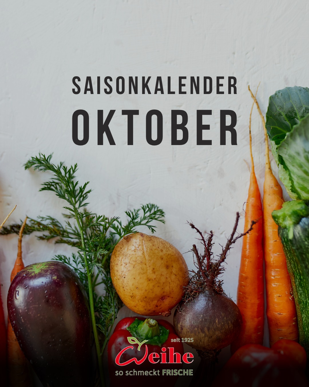 Was hat im Oktober eigentlich richtig Saison? ?
Vor allem Wurzelgemüse und Lagerobst – das ist jetzt frisch verfügbar und bringt Farbe auf die Teller. Saisonal, robust und die perfekte Basis für die herbstliche Gastronomie.

Swipe für alle Produkte, 