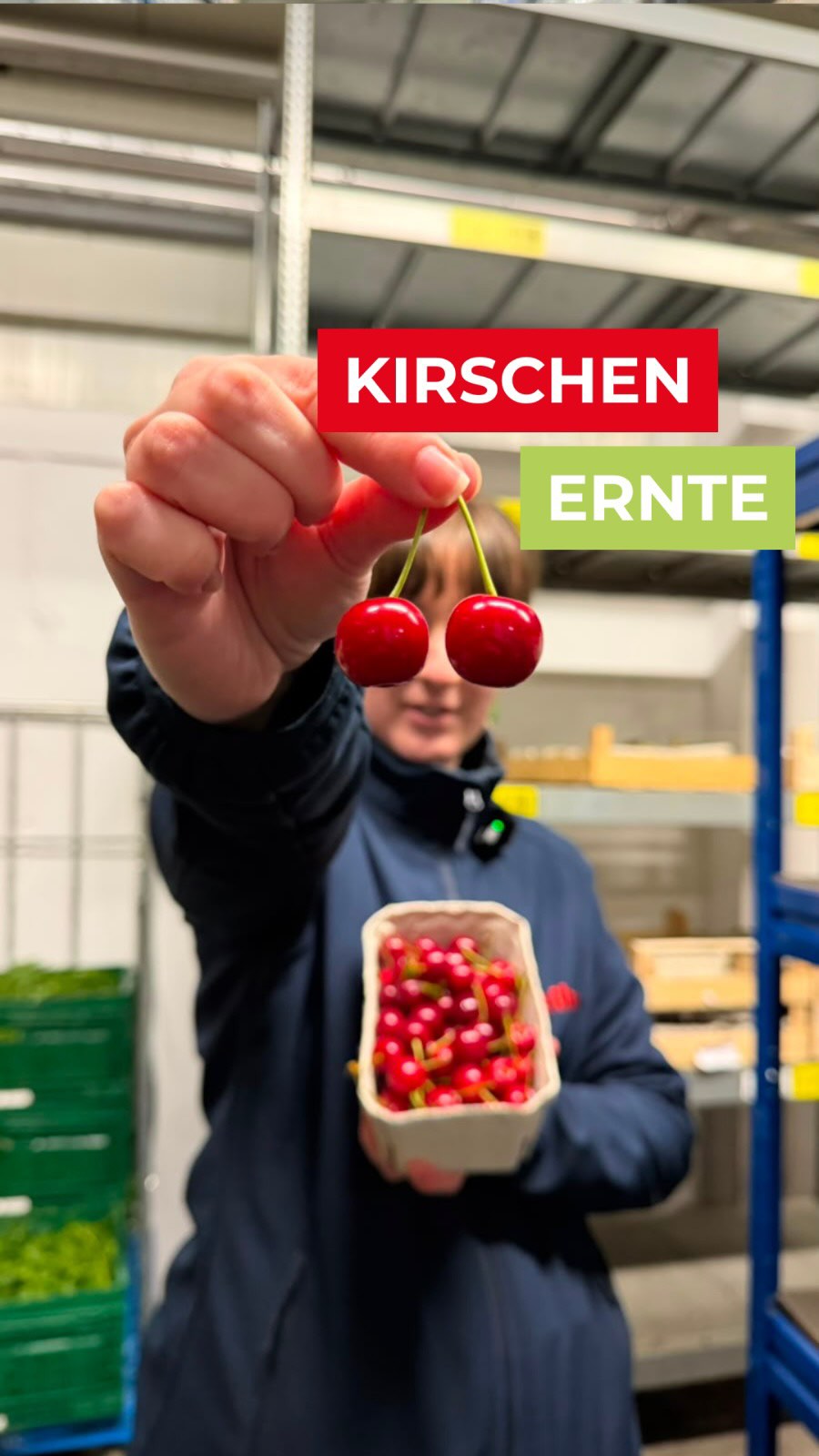 Die Kirschenernte explodiert dieses Jahr!? Das Statistische Bundesamt schätzt die Erntemenge auf rund 51.100 Tonnen. Das sind satte 13,5% über dem Zehnjahresdurchschnitt! Vor allem bei den Süßkirschen erwartet uns ein echtes Spitzenjahr.

Für deine G