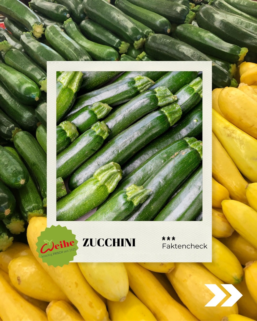 Zucchini sind einer unserer saisonalen Lieblinge im Sommer. Es gibt sie aber natürlich nicht nur klassisch grün, sondern auch in verschieden Varianten. Grün, gelb oder die edle Blüte. ??? Welche Variante läuft bei dir im Sommer am besten?

#zucchinib