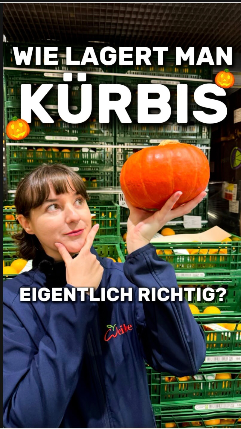 Kürbisse sind die ideale Lagerware. Doch damit sie das auch bleiben sollte man es richtig machen. Wir als Lagerexperten erzählen euch wie! ?

#kürbislagern #kürbis #kürbiskaufen #pumpkin