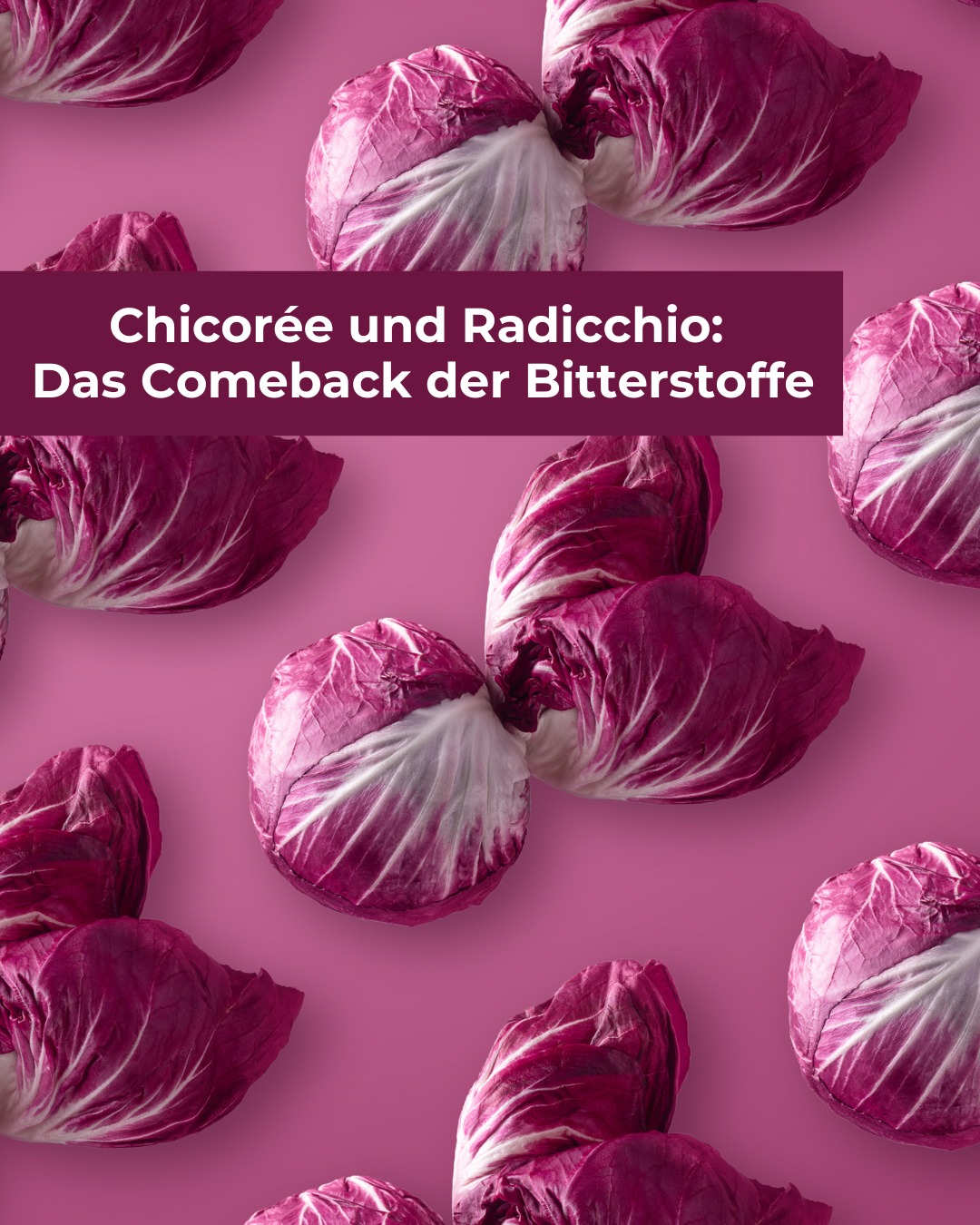 Bitterstoffe feiern ihr Comeback, und Chicorée sowie Radicchio stehen dabei im Mittelpunkt. Lange unterschätzt, sind sie heute feste Bestandteile moderner Küchenkonzepte. Ihr charakteristisches Aroma, ihre Vielseitigkeit und ihr Geschmack machen sie 