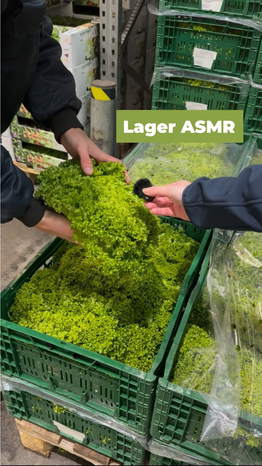 Unser alltägliches ASMR aus dem Lager ?

#asmr #lagerasmr #lagerarbeit #asmrsounds