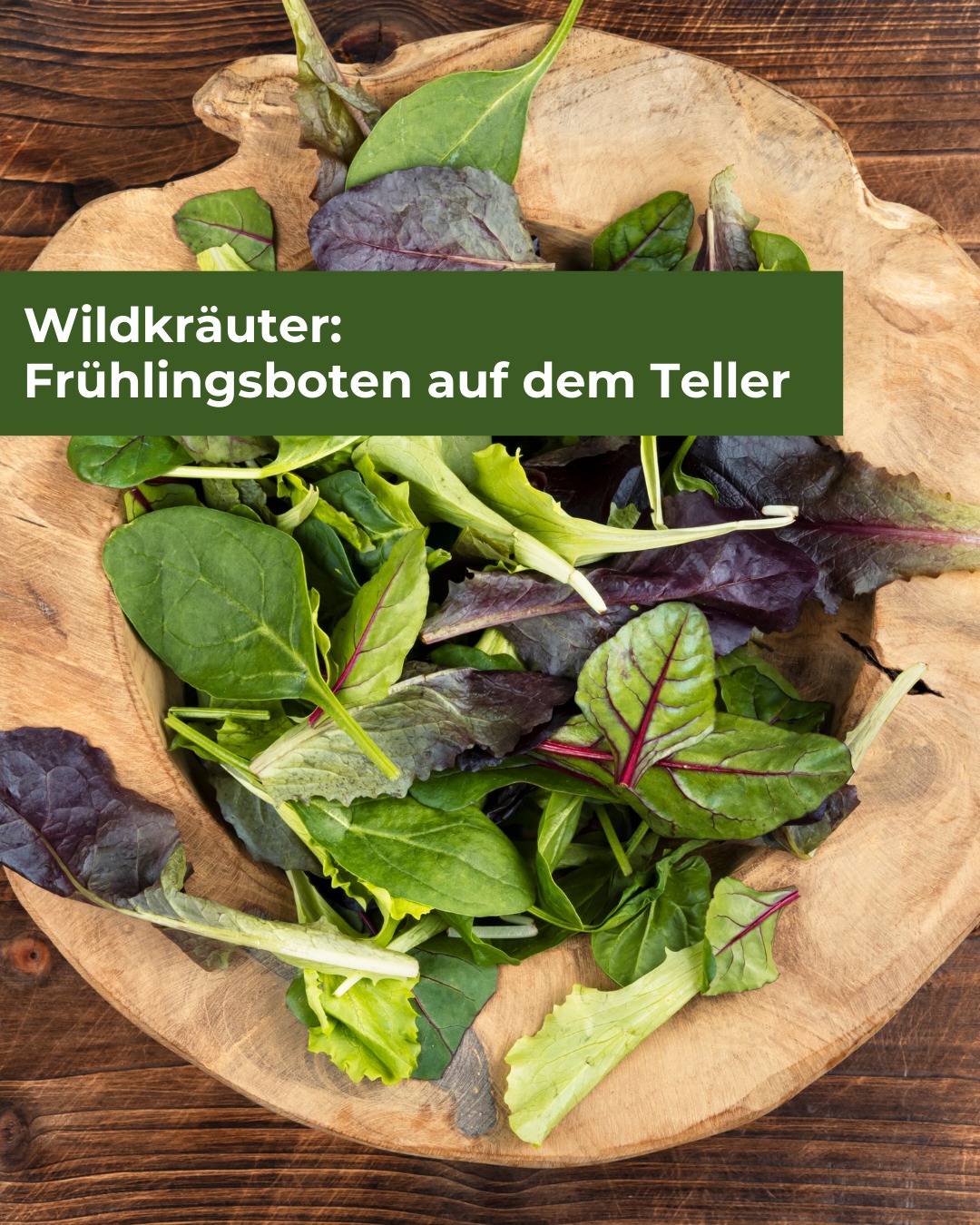 Mit dem Ende des Winters erwacht der Frühling und mit ihm kommen die Wildkräuter. Sie sind nicht nur aromatisch, sondern auch vollgepackt mit Vitaminen, Mineralstoffen und gesunden Pflanzenstoffen – perfekt für kreative Frühlingsgerichte. ??

Unser C