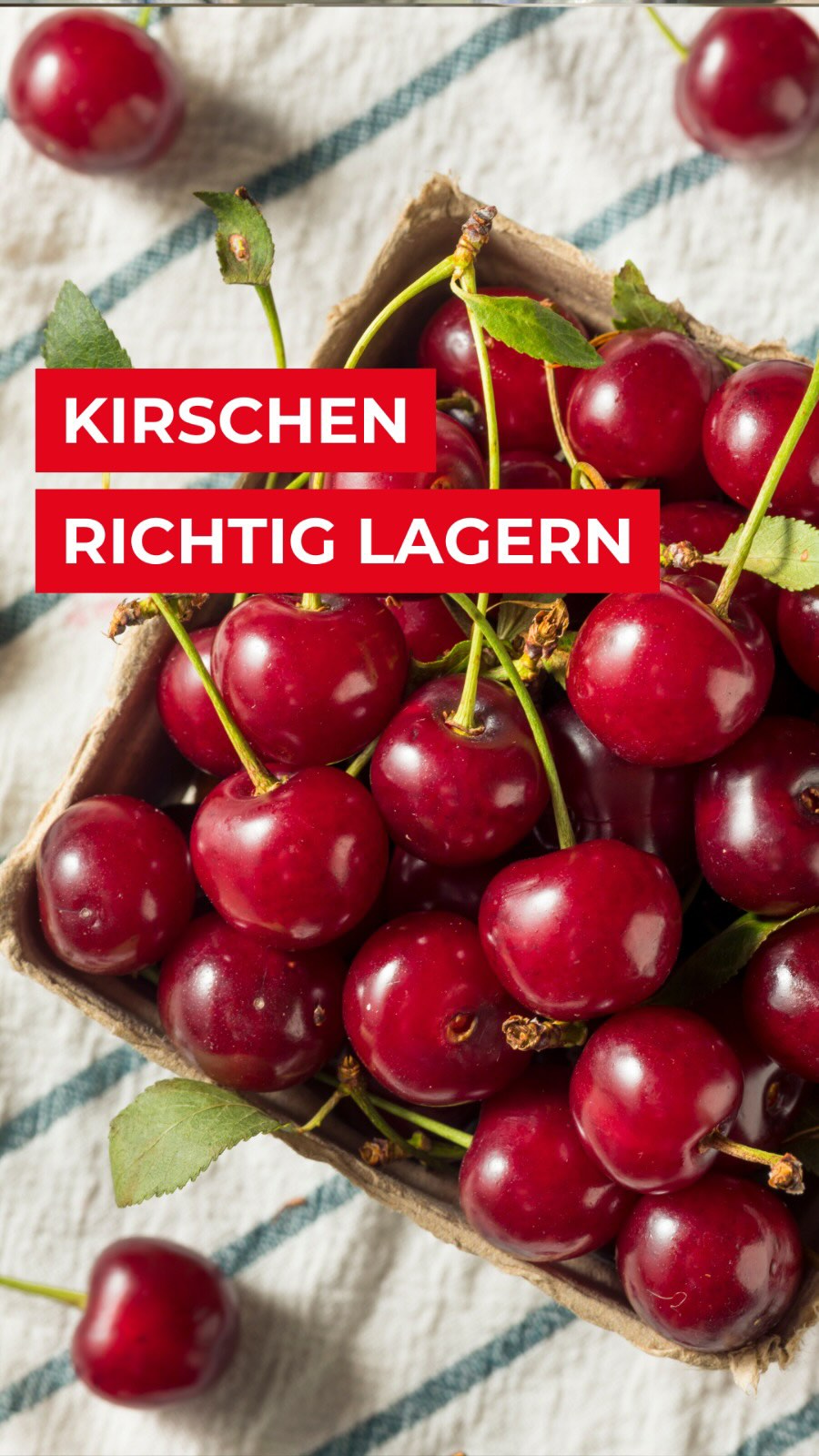 Wie lagert man Kirschen richtig???

Kirschen gehören im Sommer zu den beliebtesten Produkten, aber sie sind im Handling auch verdammt empfindlich. Wer hier in der Küche nicht aufpasst, hat innerhalb von 48 Stunden matschige oder schimmelige Ware. Wir