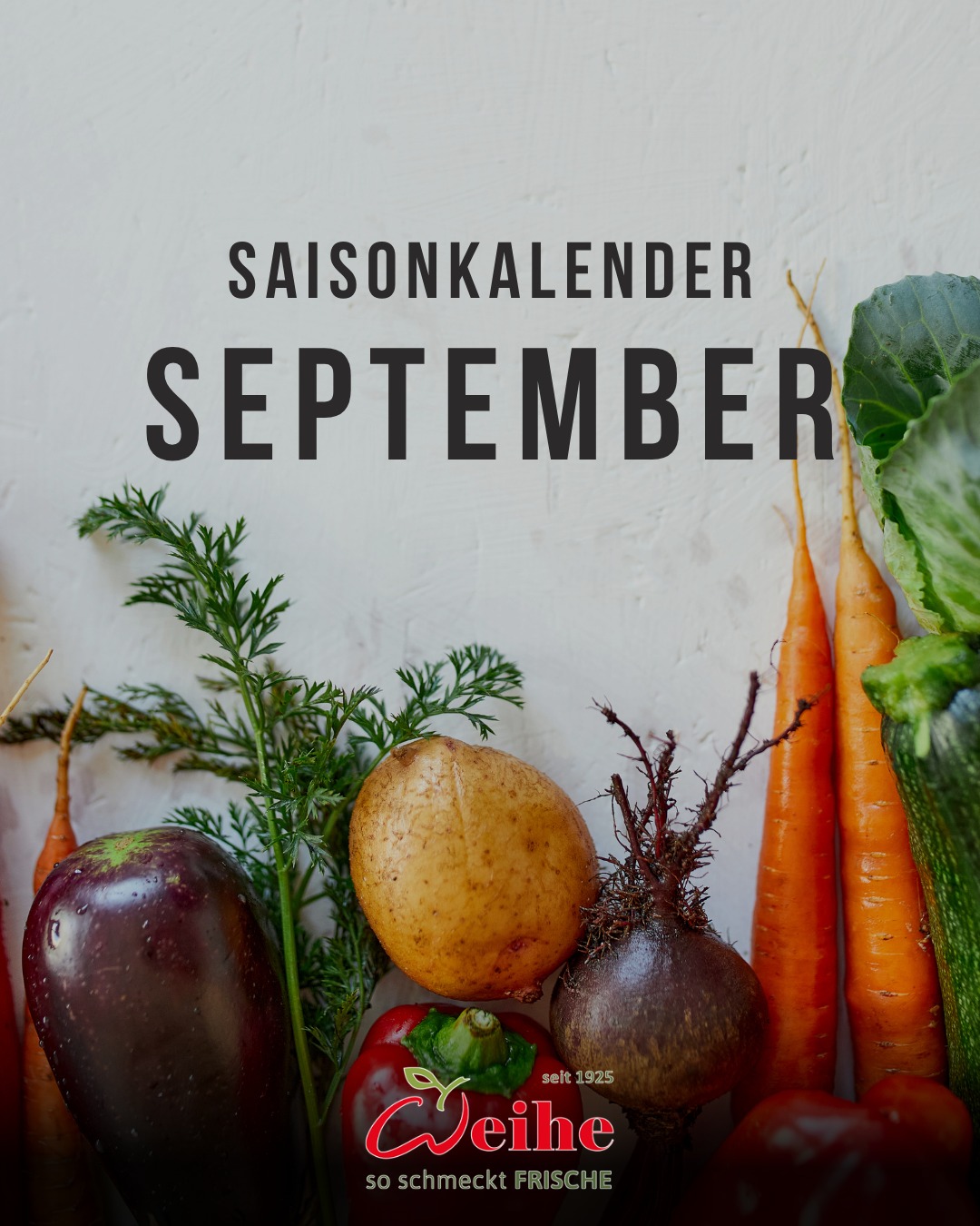 Der Sommer neigt sich dem Ende zu, jetzt im Herbst wird’s aber saisonal nochmal spannend. Denn der September bringt uns Ware, auf die wir schon sehnsüchtig warten. Quitten, Kürbisse, frische Waldpilze und die ersten Wintersalate. ???‍??

Alle Artikel