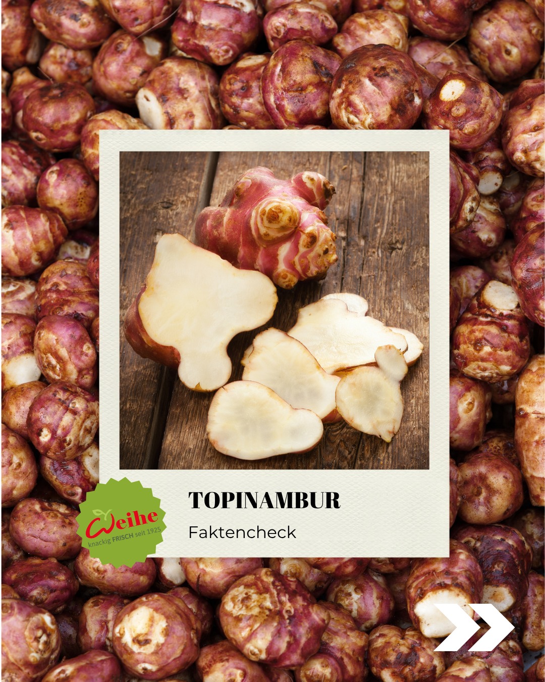 Klein, knubbelig und voller Geschmack – das ist Topinambur ?✨

Die Knolle erlebt ein absolut verdientes Comeback in der Gastronomie. Wir zeigen euch, warum das Wurzelgemüse auf keiner Speisekarte fehlen sollte:
✨ Geschmack: Nussig-süßlich mit feiner 