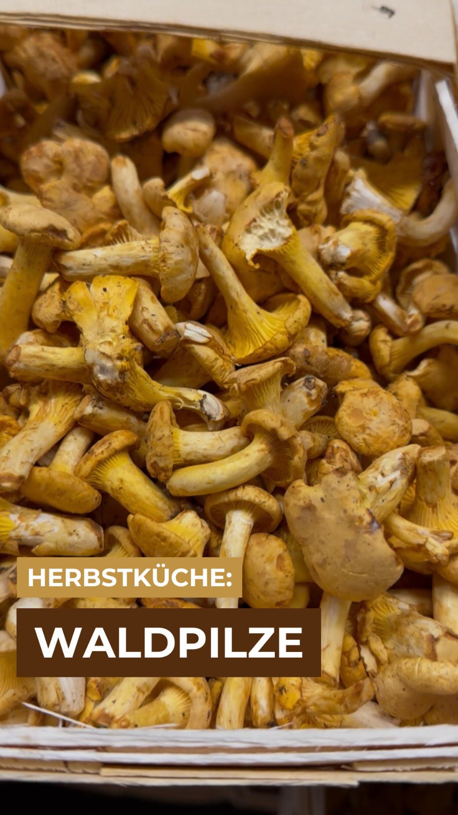 Unser saisonales Highlight sind aktuell die Waldpilze! ?‍? Auf der Beliebtheitsskala der Pilze zwar etwas weiter unten, jedoch trotzdem mega im Geschmack. Am besten sind sie frisch bestellt und direkt weiterverarbeitet. 

#waldpilze #pfifferlinge #st