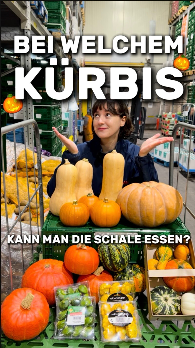 Bei welchen Kürbissen kann man die Schale mitessen? Wir erklären es kurz und knapp! ??

✅Bei den Hokkaido Kürbissen und den kleinen jungen Patisson Kürbissen kann man sie mitessen. 

⭕️Die Schale von Muskat und Butternut ist grundsätzlich essbar, abe