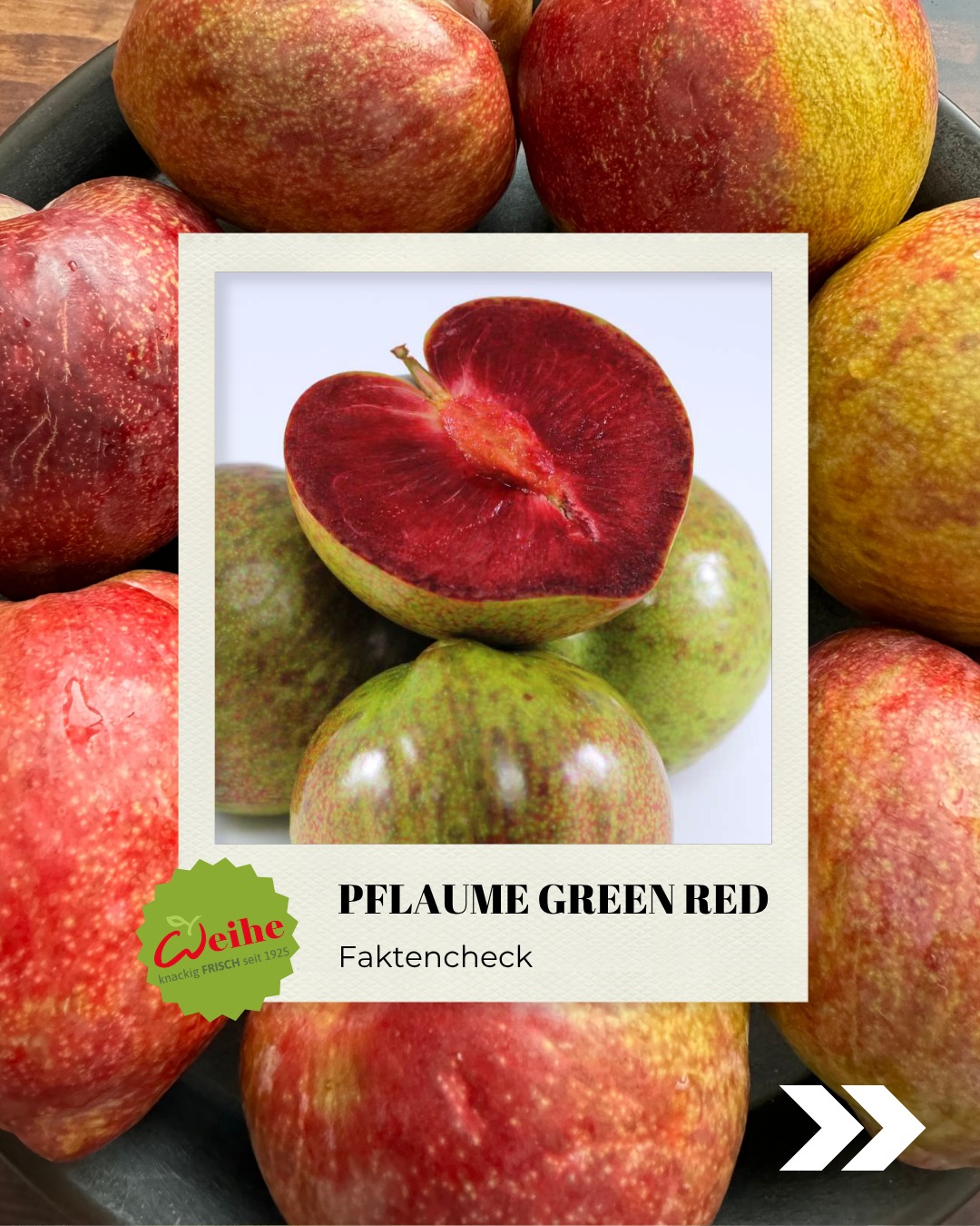 Die Pflaume Green Red: Außen grünlich bis rot und innen feurig rot ?

Aktuell saisonal verfügbar ist die Pflaume green red. Sie ist in der Gastronomie besonders beliebt, weil sie süß und leicht beerig schmeckt, aber trotzdem knackig ist.

Du kennst s
