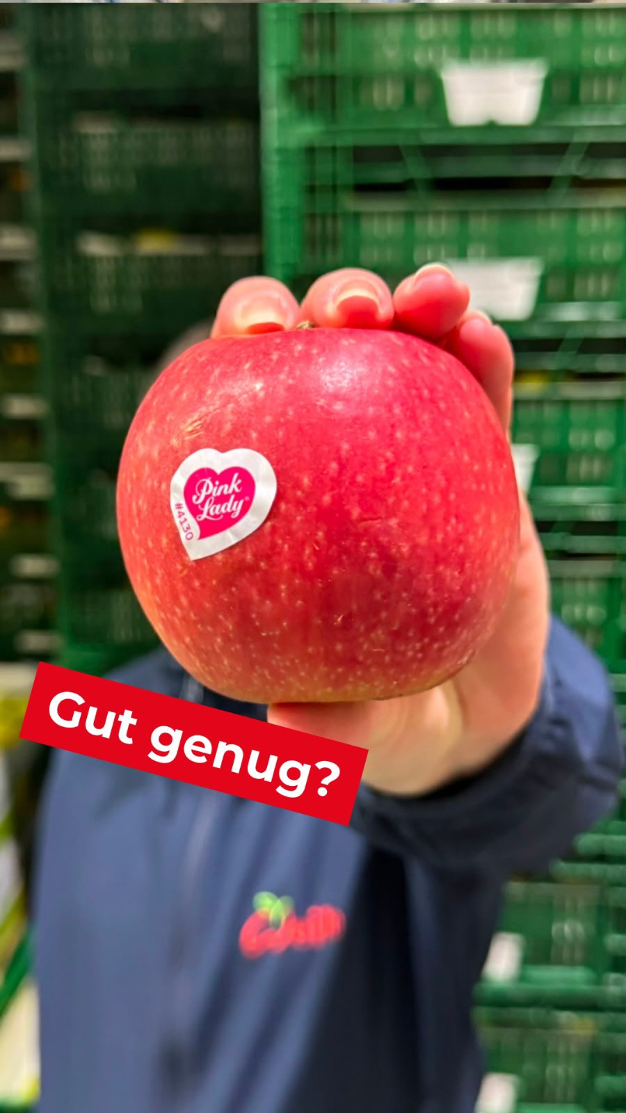 Unsere knackigen roten Äpfel sind gut genuuuuug. Und verdammt lecker. ?

#gutgenug #apfel #doobiescootcanoe